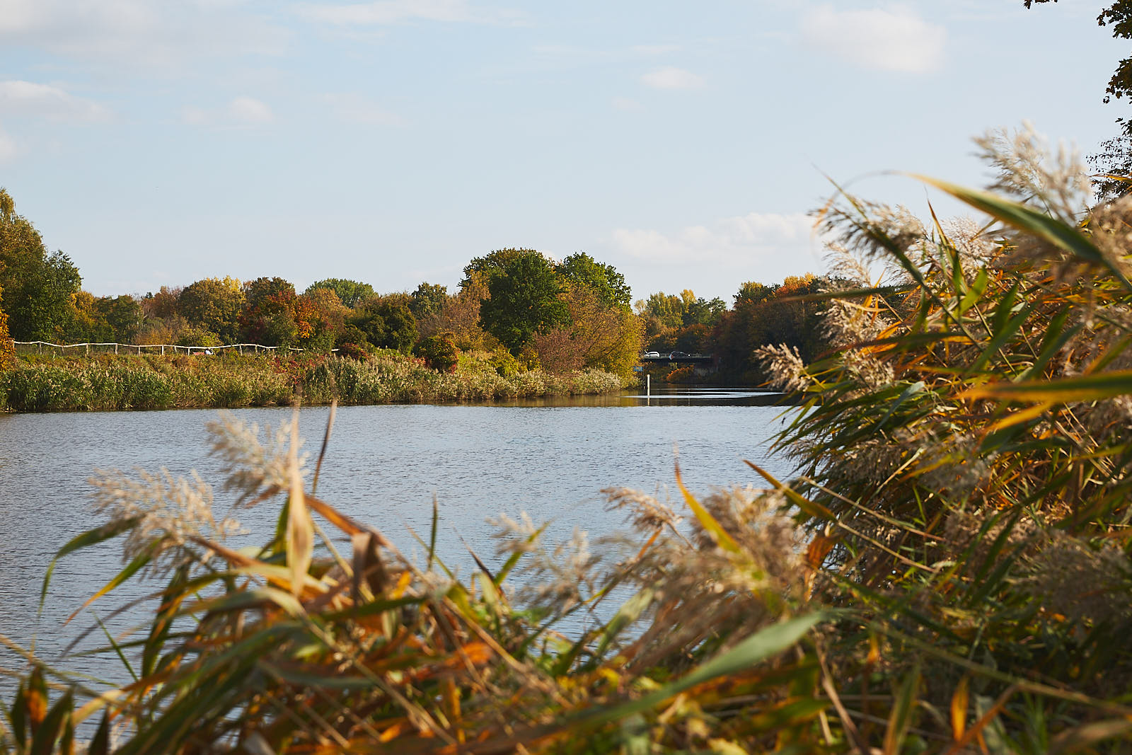 Altstadtloft Image 2