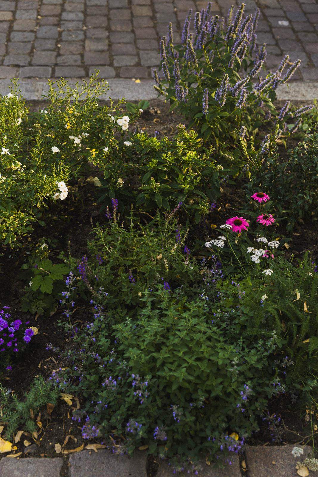 Altstadtloft Image 13